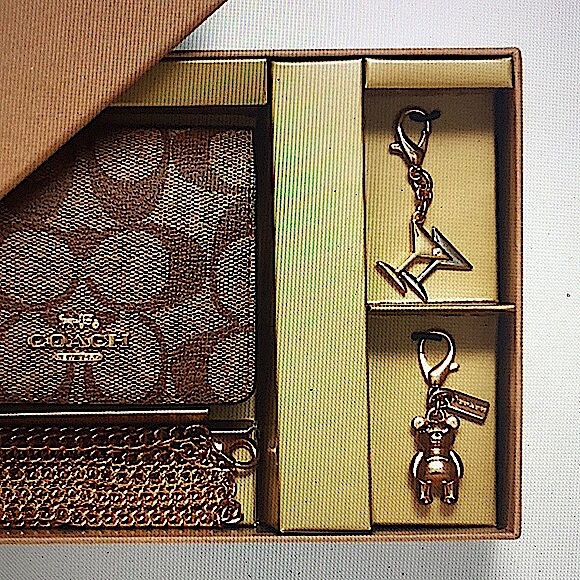 COACH -MINI WALLET ON A CHAIN IN SIGNATURE CANVAS - Picture 5 of 14
